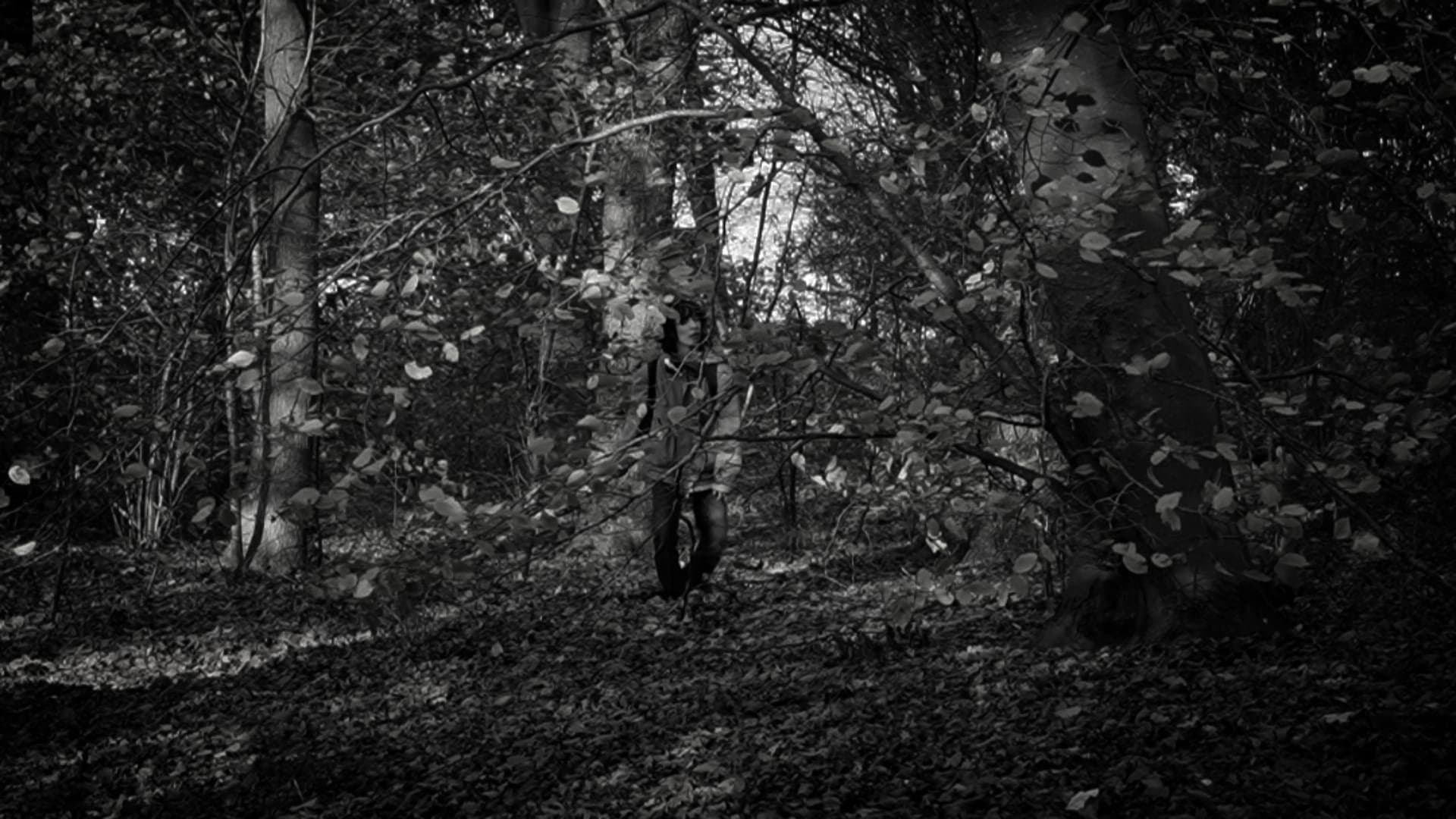 the forest of great mystery and emptiness backdrop