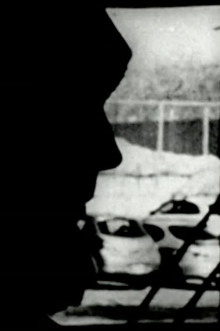 Perceptual Subjectivity backdrop