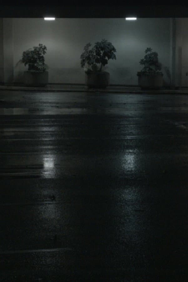 Night Swells backdrop
