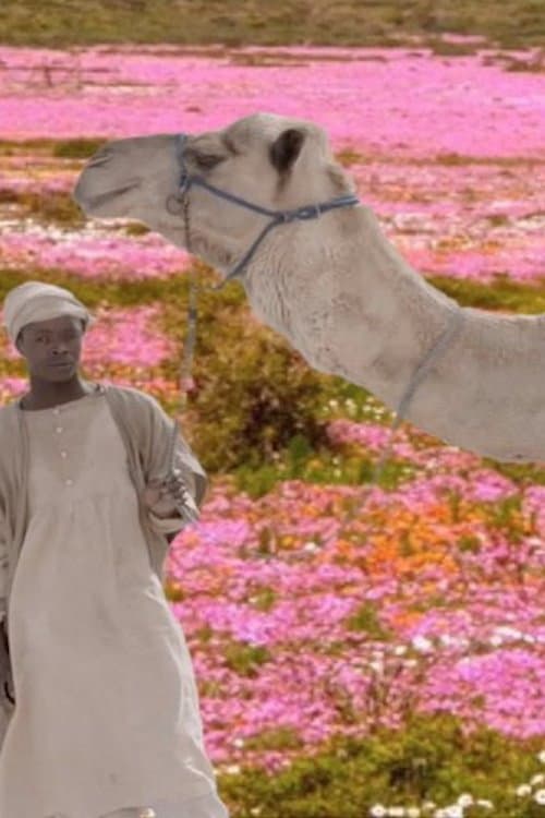 The Future Was Desert backdrop