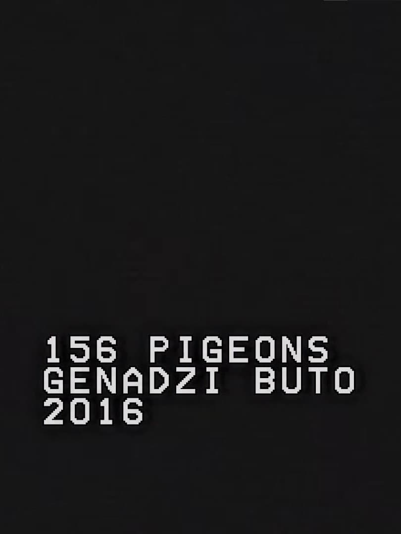 156 Pigeons backdrop