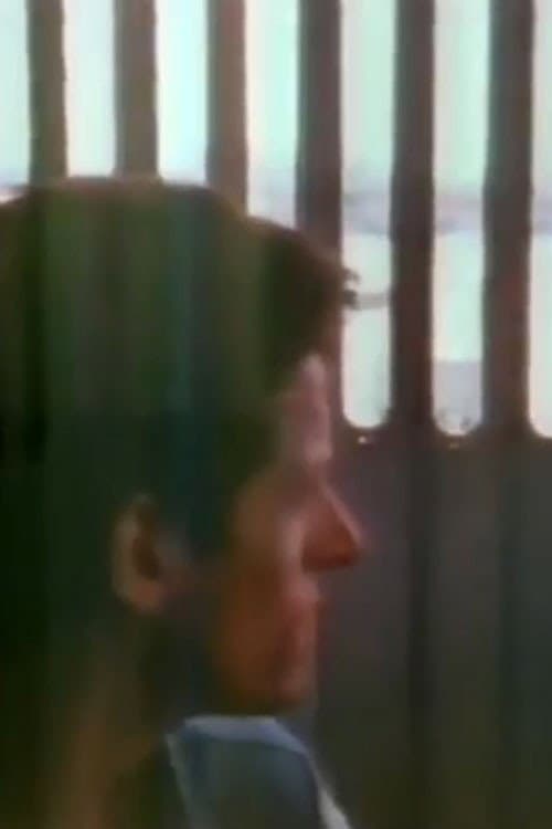 The Blue Nile: Flags and Fences backdrop