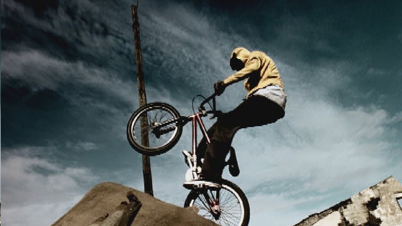 Riding with Sugar backdrop