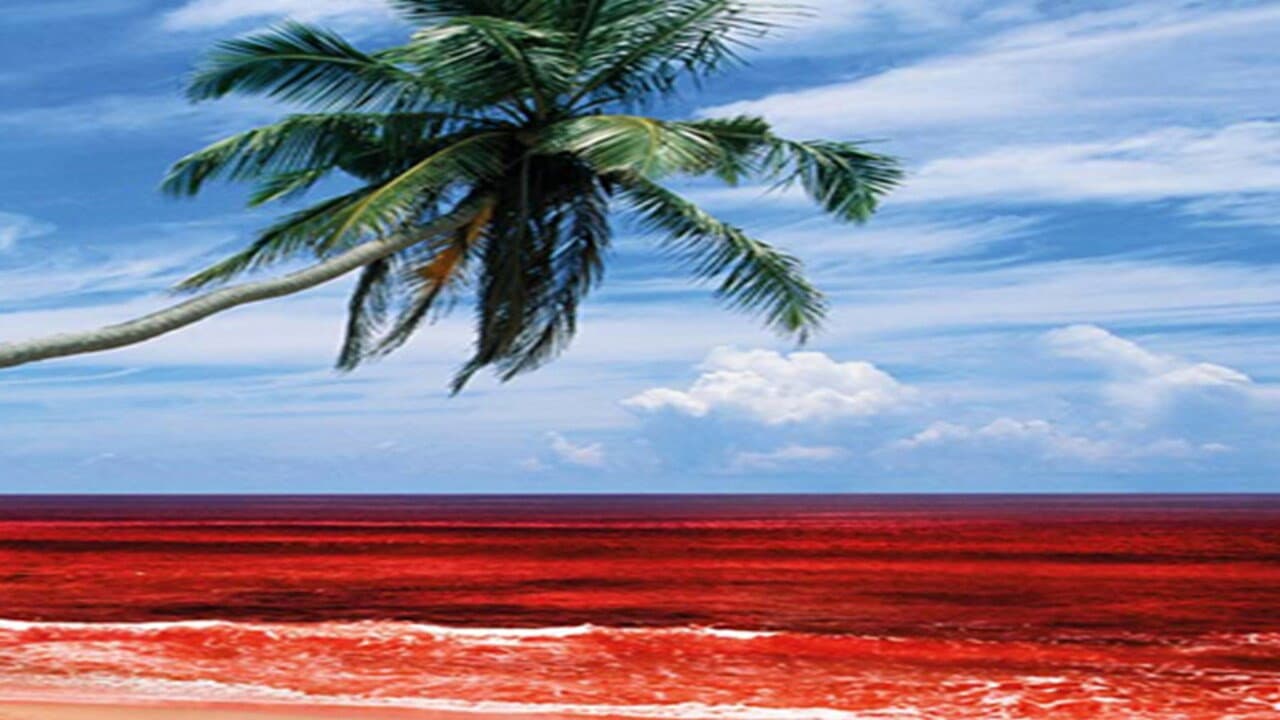 Sri Lanka's Killing Fields backdrop