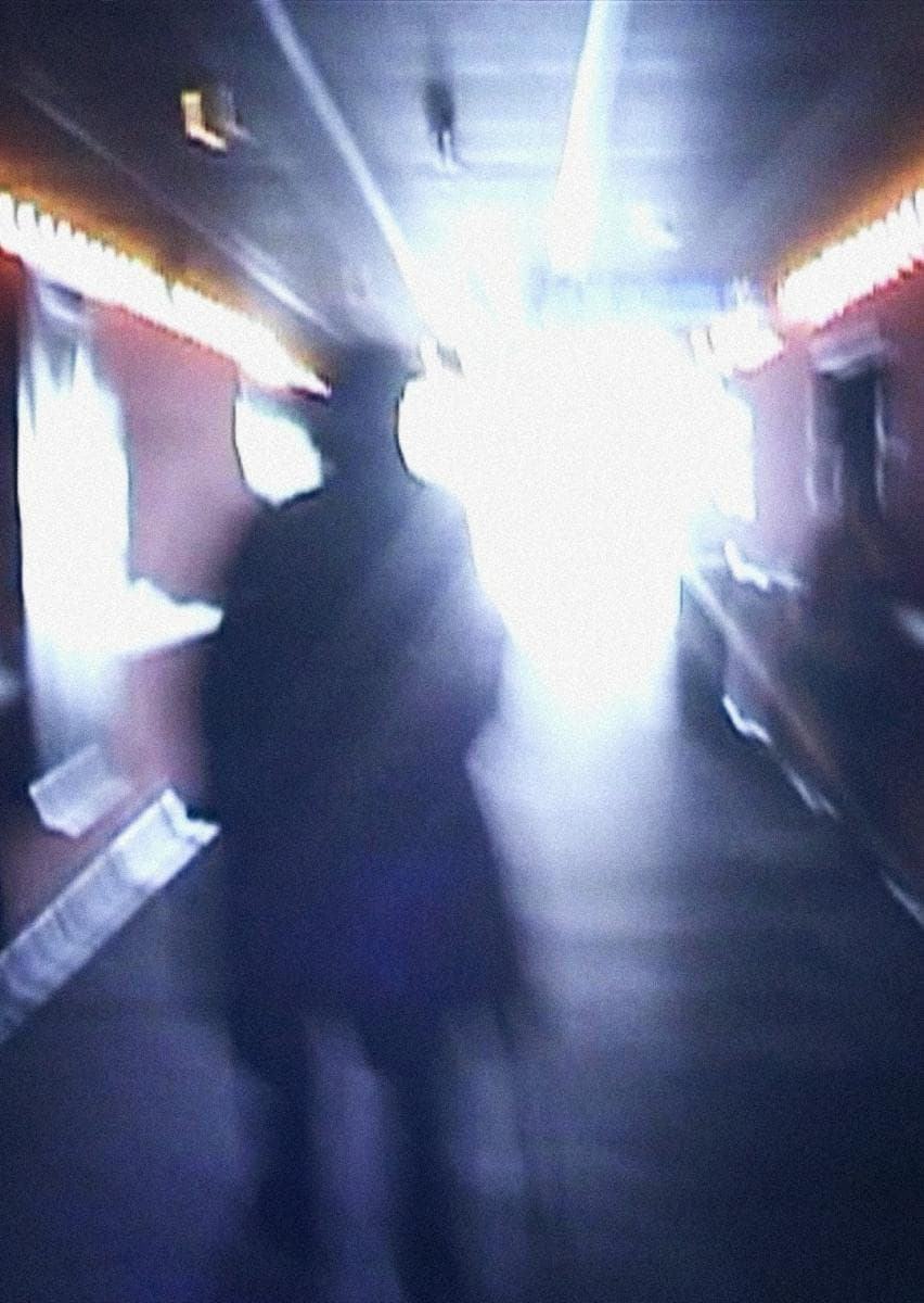 Stan Brakhage Exits the Cinema and Enters the Light of Day backdrop