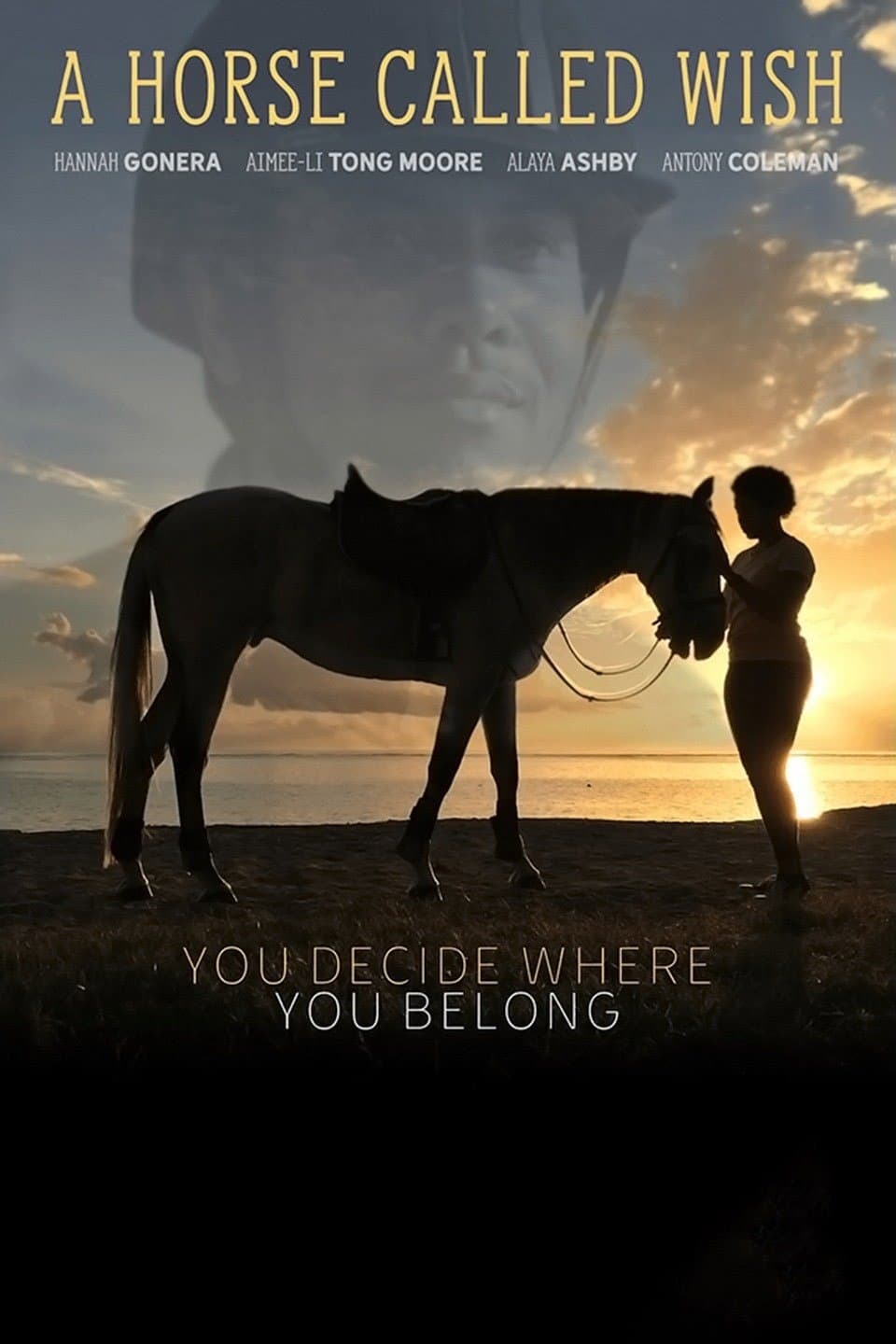 A Horse Called Wish backdrop