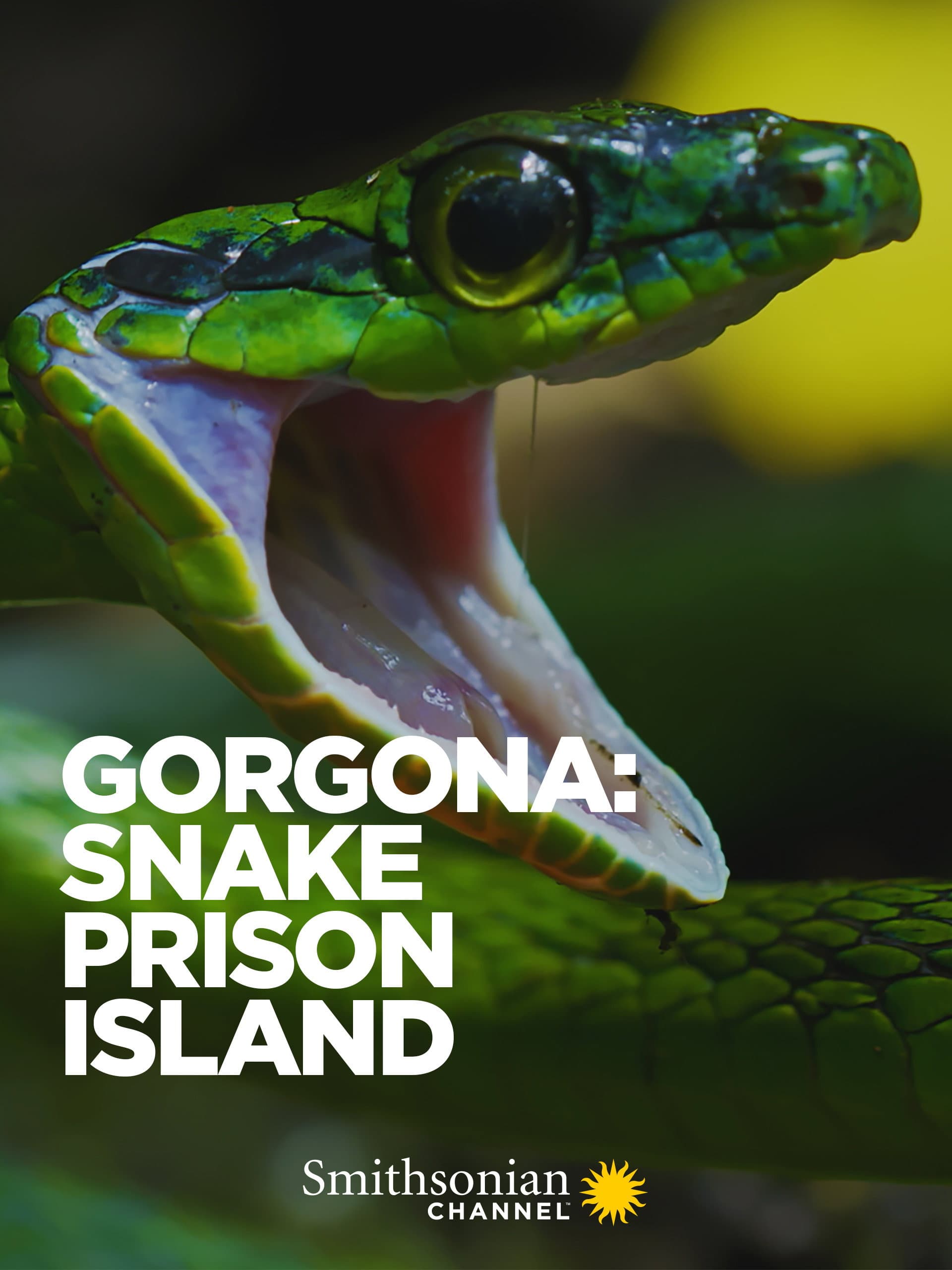 Gorgona: Snake Prison Island backdrop
