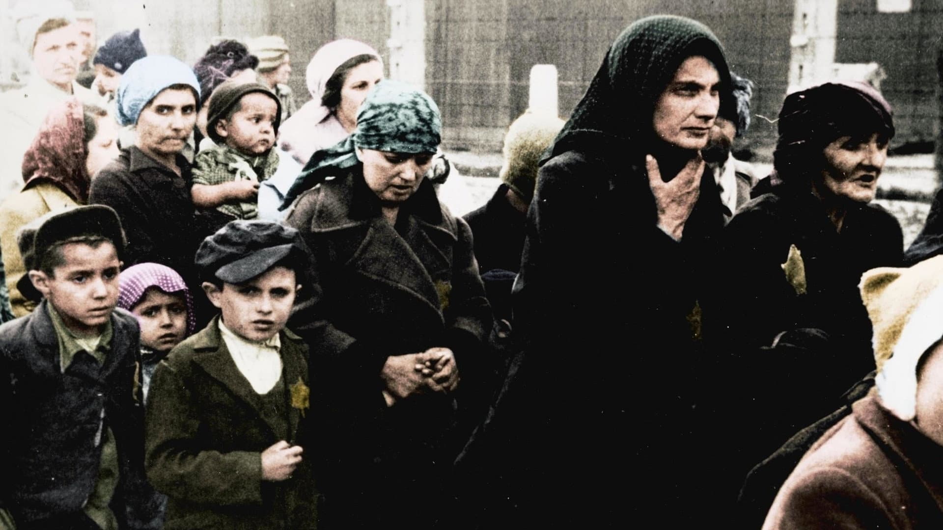 Auschwitz Untold: In Colour backdrop
